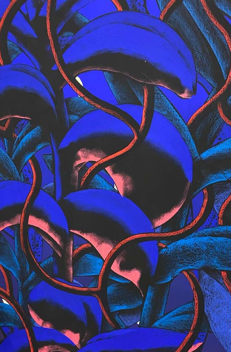 JULIEN-COLOMBIER-120×80