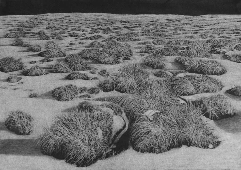 Summer Group Show nouvelle exposition galerie ars longa à Aix-en-Provence