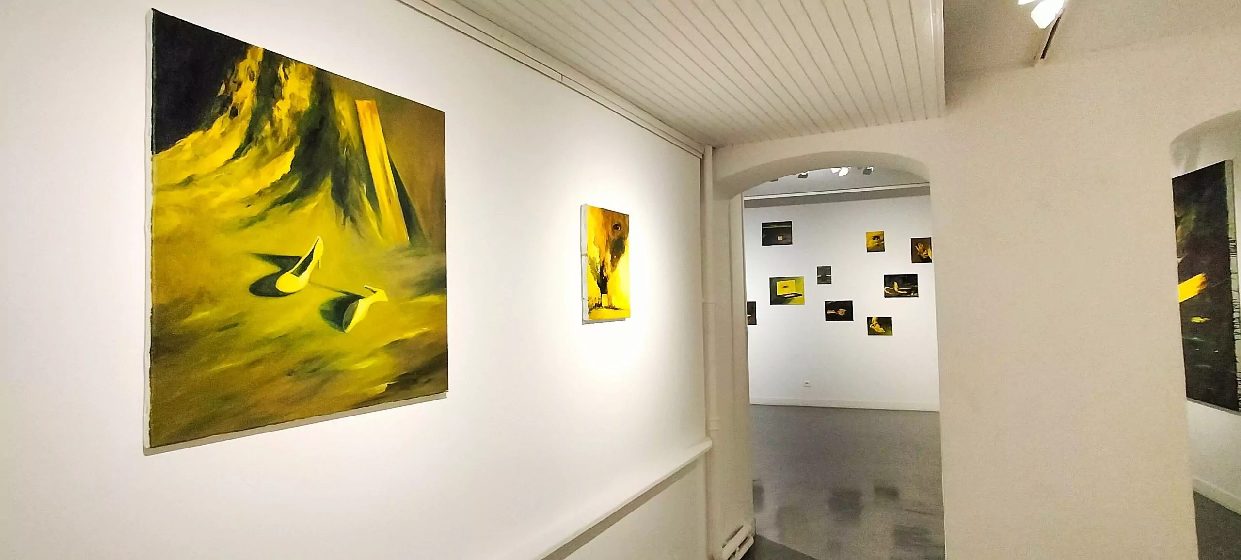 Karine Hoffman, Exposition Metz